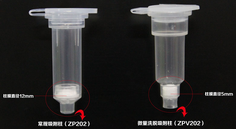 ZPV202柱子对图.jpg