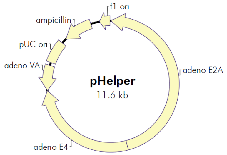 ZK736 pHelper.png