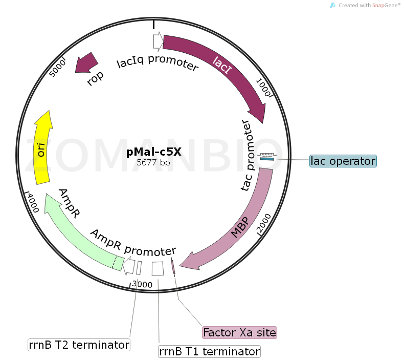 pmal-c5x