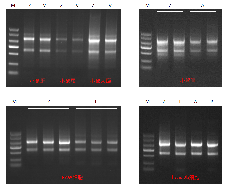 d1ec1899-c035-4ef1-8bd7-b4401e6be3cc.png
