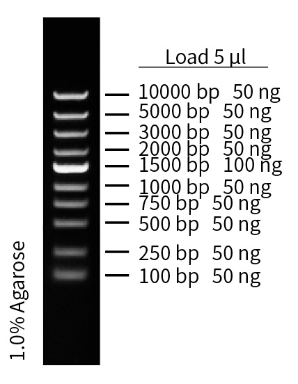 ZM108-1.jpg
